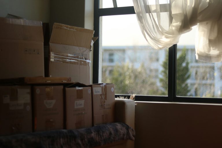 Boxes, Breakups, and Backup Plans